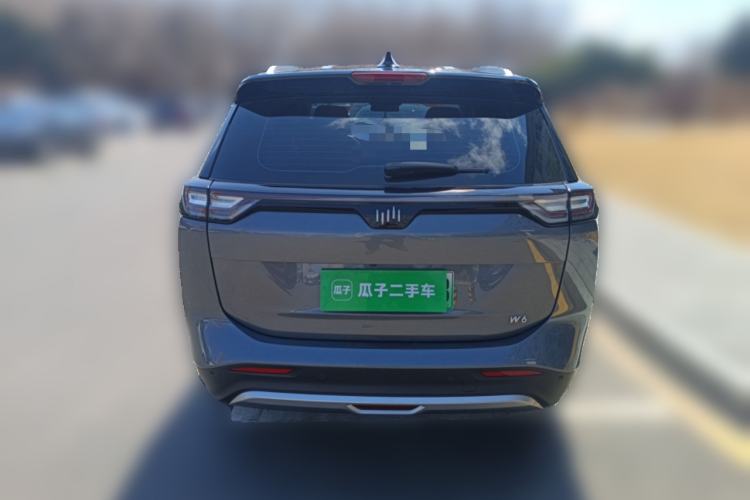 Used WM Motor W6 2021 520km ACE Advanced Intelligence Edition Rear