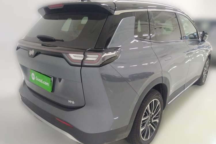 Used WM Motor W6 2021 520km PRO All-Round Edition Rear