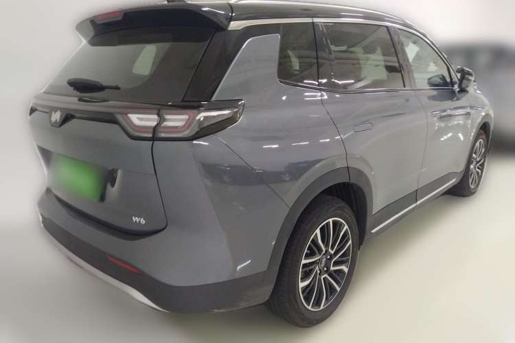 Used WM Motor W6 2021 520km PRO All-Round Edition Rear Right 45 Deg