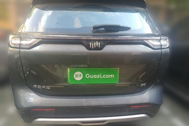 Used WM Motor W6 2021 520km PRO All-Round Edition Rear
