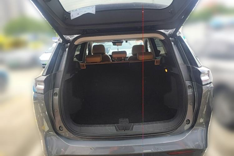 Used WM Motor W6 2021 520km PRO All-Round Edition Trunk