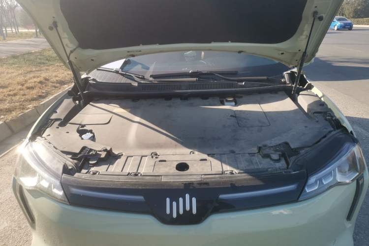 Used WM Motor W6 2021 520km ACE Advanced Intelligence Edition Engine Bay