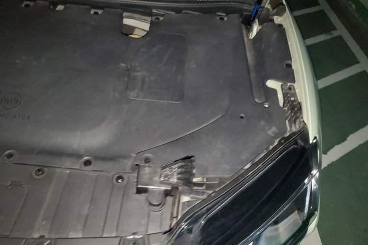 Used WM Motor W6 2021 520km PRO All-Round Edition Engine Bay Left