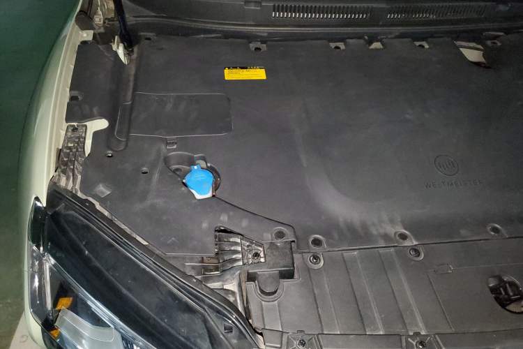 Used WM Motor W6 2021 520km PRO All-Round Edition Engine Bay Right