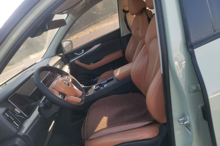 Used WM Motor W6 2021 520km ACE Advanced Intelligence Edition Left Front Seat
