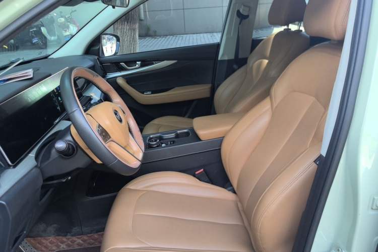 Used WM Motor W6 2021 520km PRO All-Round Edition Left Front Seat