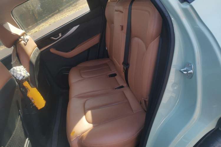 Used WM Motor W6 2021 520km ACE Advanced Intelligence Edition Left Rear Seat