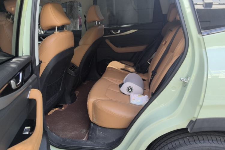 Used WM Motor W6 2021 520km PRO All-Round Edition Left Rear Seat