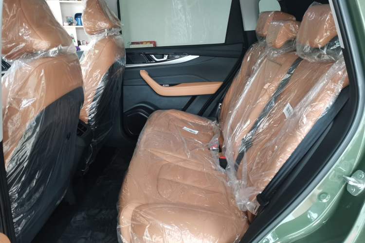 Used WM Motor W6 2021 520 km NEX Exploration Edition Left Rear Seat