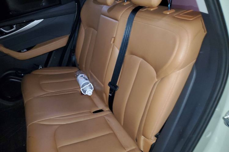Used WM Motor W6 2021 520km PRO All-Round Edition Left Rear Seat