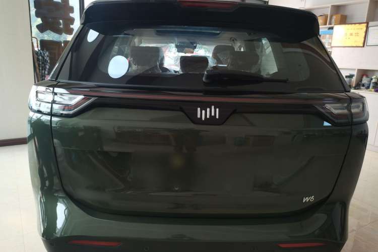 Used WM Motor W6 2021 520 km NEX Exploration Edition Rear