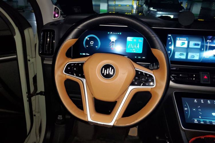 Used WM Motor W6 2021 520km PRO All-Round Edition Steering Wheel