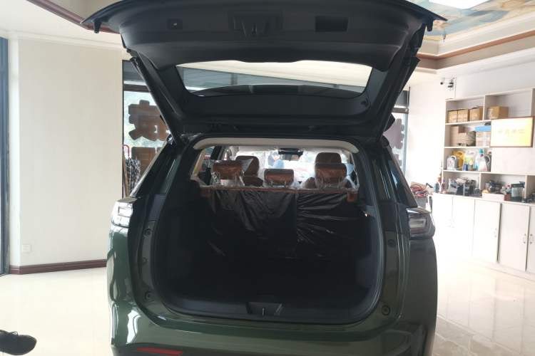 Used WM Motor W6 2021 520 km NEX Exploration Edition Trunk