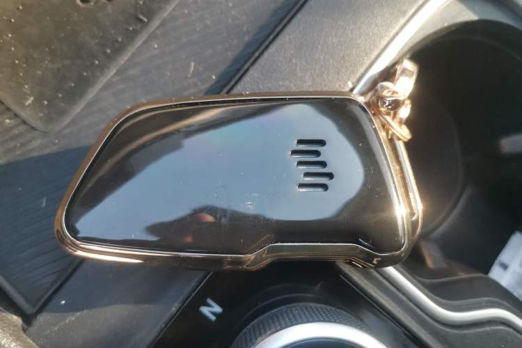 Used WM Motor W6 2021 520km ACE Advanced Intelligence Edition Vehicle Key