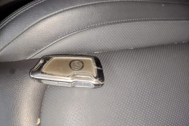 Used WM Motor W6 2021 520km PRO All-Round Edition Vehicle Key