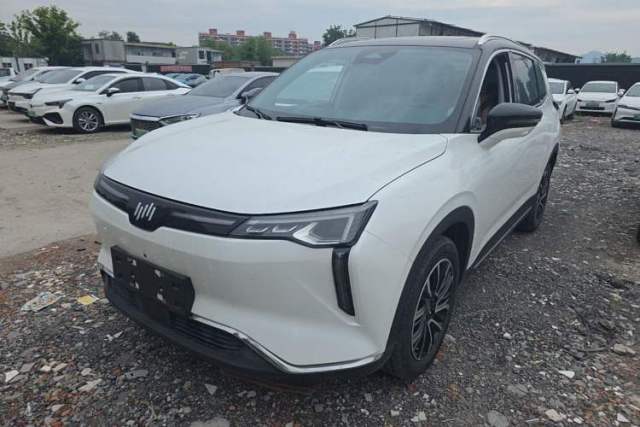 Used WM Motor W6 2021 520km PRO All-Round Edition