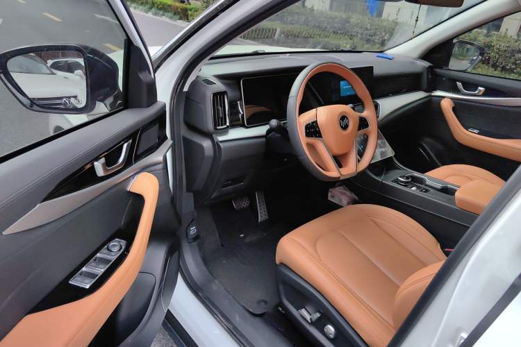 Used WM Motor W6 2021 520km ACE Advanced Intelligence Edition Driver Seat