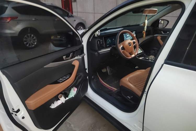Used WM Motor W6 2021 520km PRO All-Round Edition Driver Seat