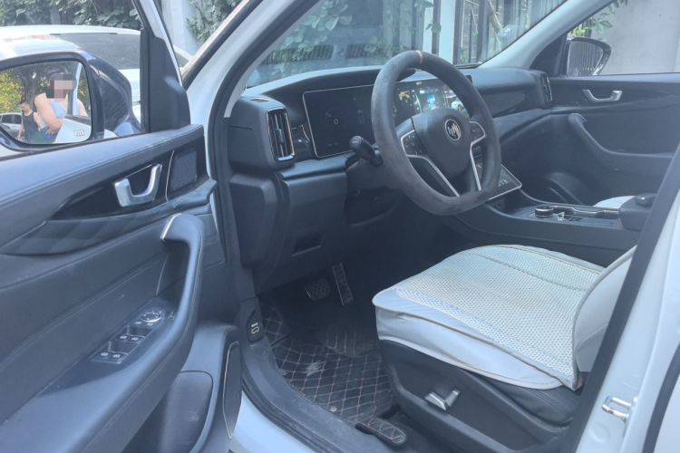 Used WM Motor W6 2021 520km PRO All-Round Edition Driver Seat