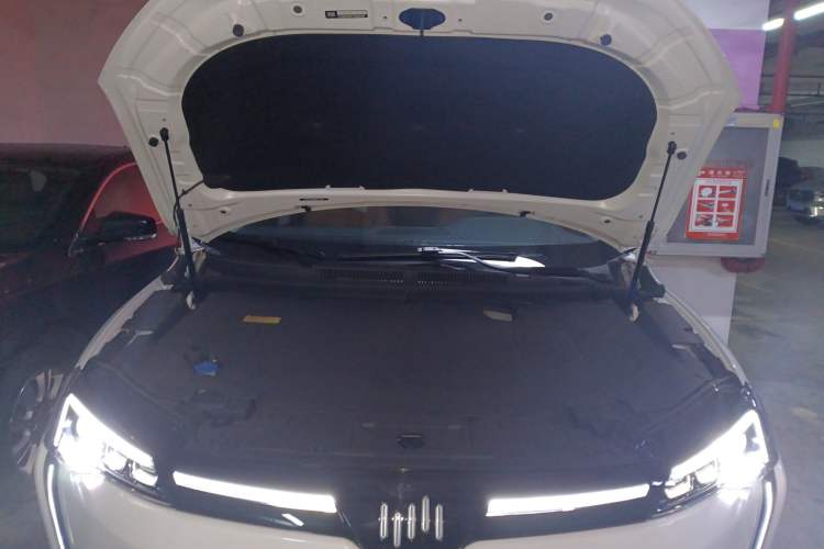 Used WM Motor W6 2021 520km PRO All-Round Edition Engine Bay