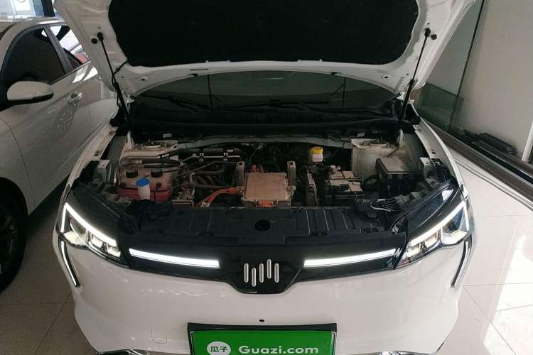 Used WM Motor W6 2021 520 km NEX Exploration Edition Engine Bay