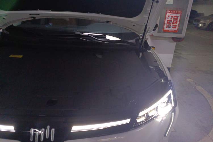 Used WM Motor W6 2021 520km PRO All-Round Edition Engine Bay Left
