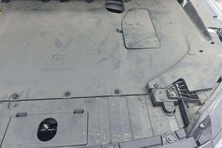 Used WM Motor W6 2021 520km PRO All-Round Edition Engine Bay Left