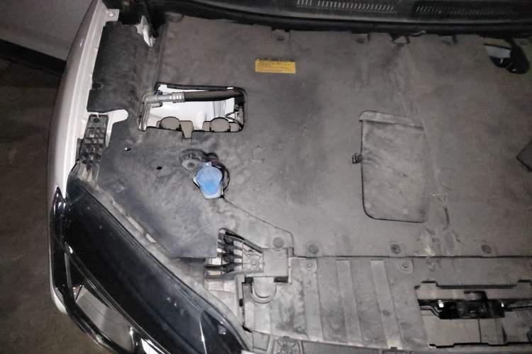 Used WM Motor W6 2021 520km PRO All-Round Edition Engine Bay Right