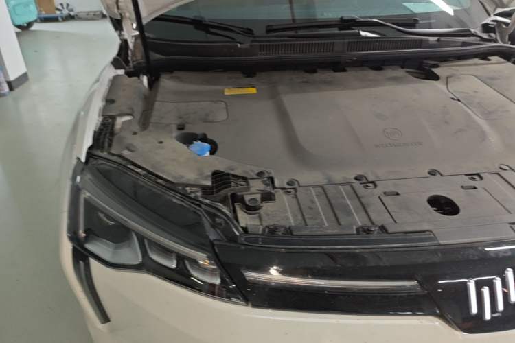 Used WM Motor W6 2021 520km PRO All-Round Edition Engine Bay Right
