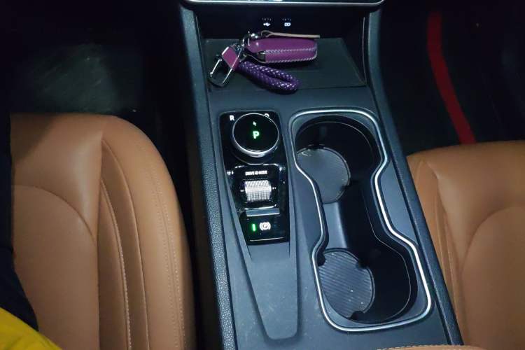 Used WM Motor W6 2021 520km PRO All-Round Edition Gear Lever