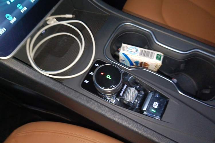 Used WM Motor W6 2021 520km PRO All-Round Edition Gear Lever