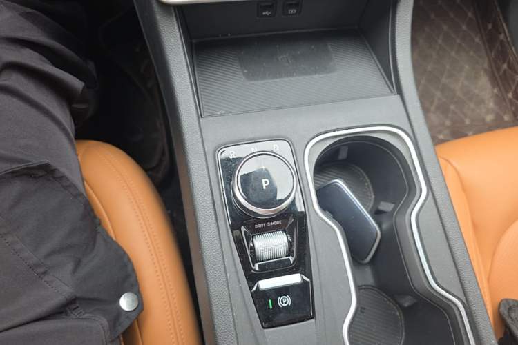 Used WM Motor W6 2021 520km PRO All-Round Edition Gear Lever