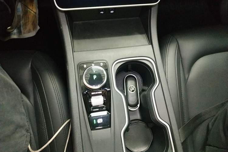 Used WM Motor W6 2021 520 km NEX Exploration Edition Gear Lever
