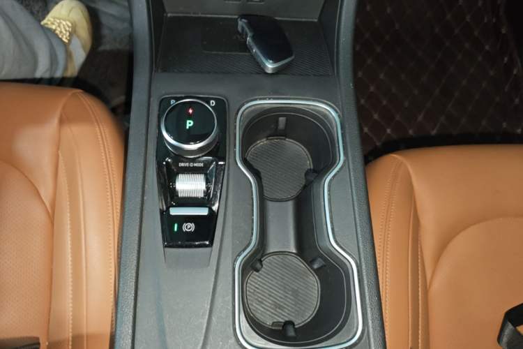 Used WM Motor W6 2021 520km PRO All-Round Edition Gear Lever
