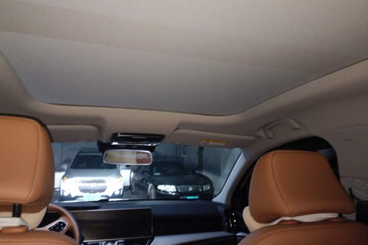 Used WM Motor W6 2021 520km PRO All-Round Edition Headliner