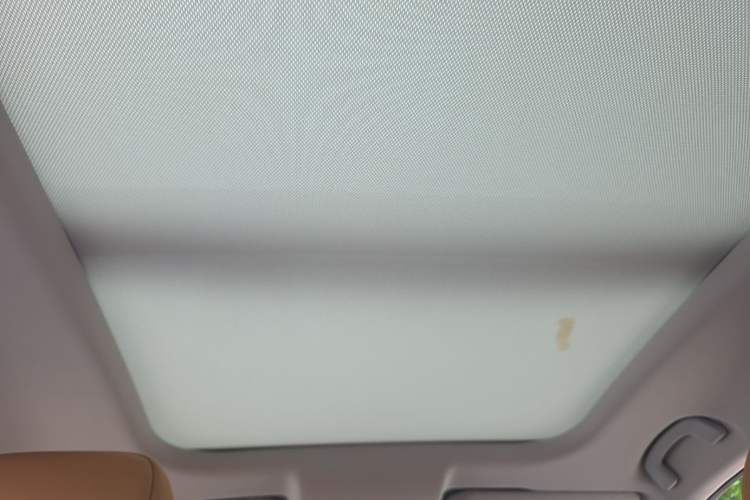 Used WM Motor W6 2021 520km PRO All-Round Edition Headliner