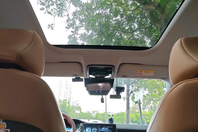 Used WM Motor W6 2021 520km PRO All-Round Edition Headliner