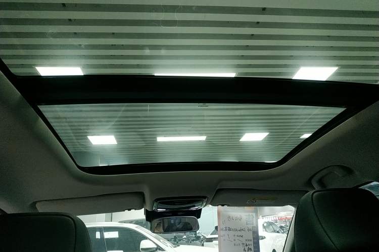 Used WM Motor W6 2021 520 km NEX Exploration Edition Headliner