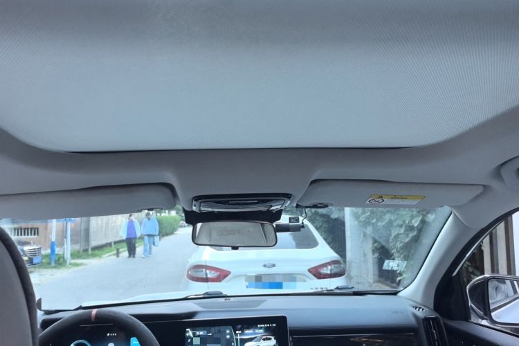 Used WM Motor W6 2021 520km PRO All-Round Edition Headliner