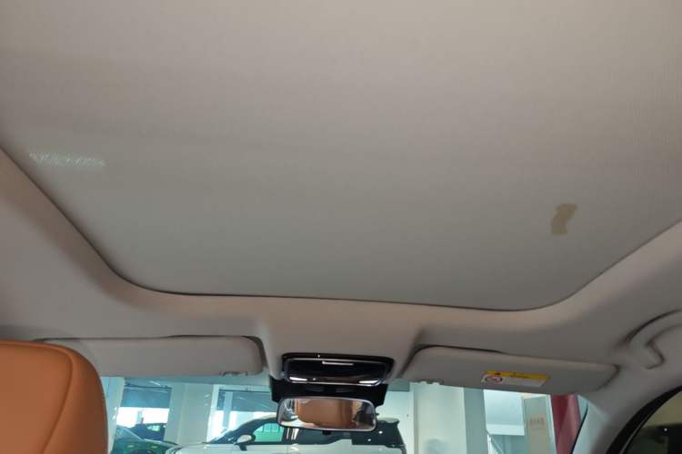 Used WM Motor W6 2021 520km PRO All-Round Edition Headliner