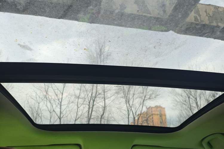 Used WM Motor W6 2021 520km PRO All-Round Edition Headliner
