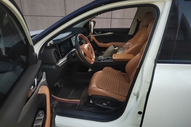 Used WM Motor W6 2021 520km PRO All-Round Edition Left Front Seat