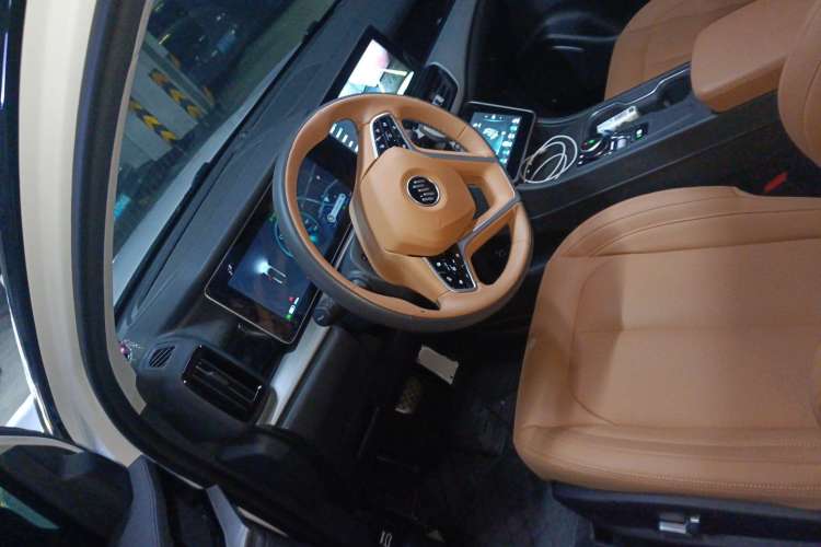 Used WM Motor W6 2021 520km PRO All-Round Edition Left Front Seat