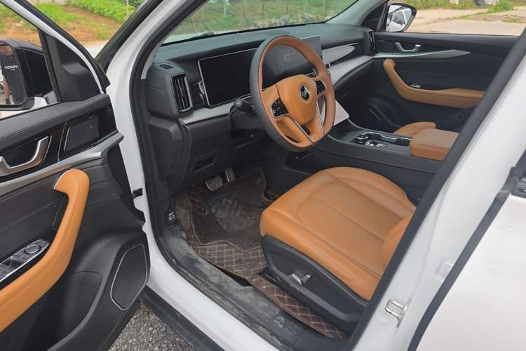 Used WM Motor W6 2021 520km PRO All-Round Edition Left Front Seat