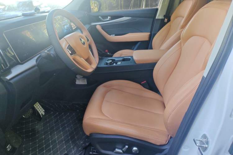 Used WM Motor W6 2021 520km PRO All-Round Edition Left Front Seat
