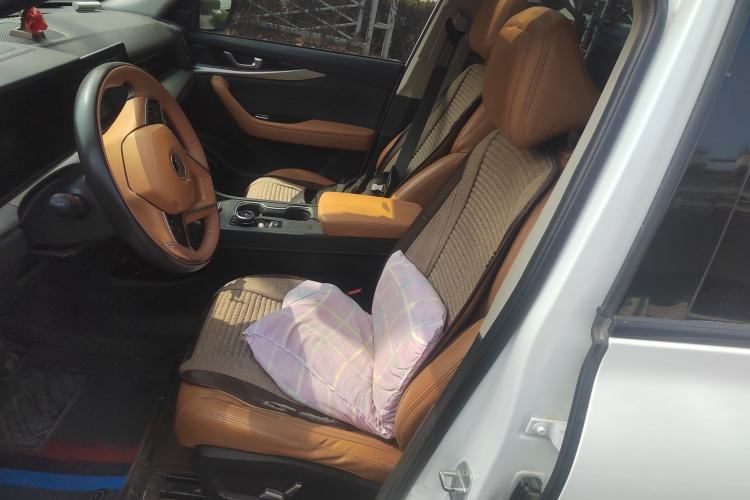 Used WM Motor W6 2021 520km PRO All-Round Edition Left Front Seat