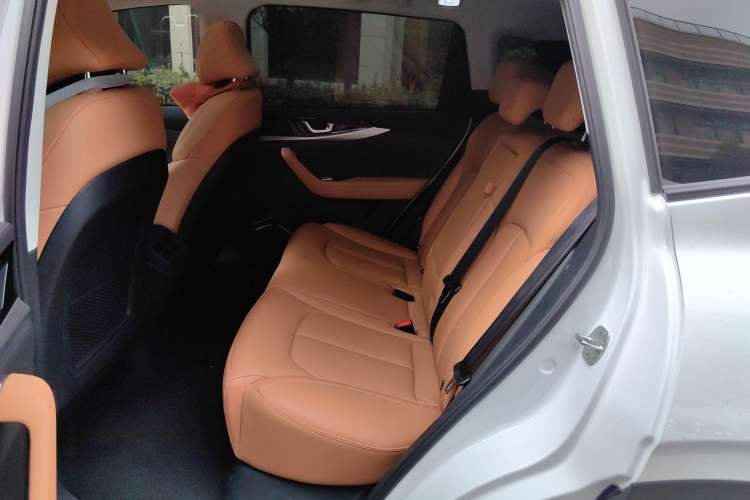 Used WM Motor W6 2021 520km ACE Advanced Intelligence Edition Left Rear Seat