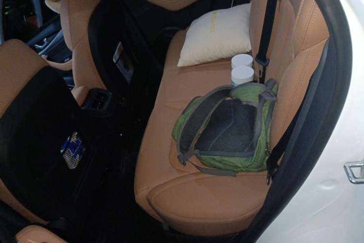 Used WM Motor W6 2021 520km PRO All-Round Edition Left Rear Seat