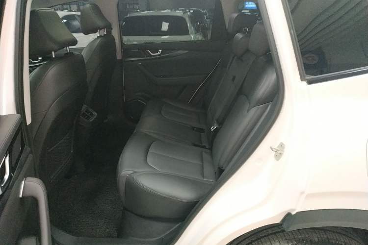 Used WM Motor W6 2021 520 km NEX Exploration Edition Left Rear Seat