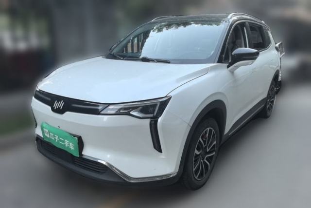 Used WM Motor W6 2021 520km PRO All-Round Edition